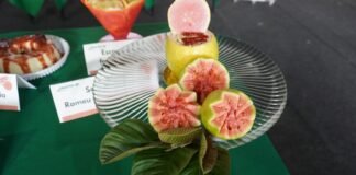 Concurso de Receitas com Goiaba chega à 5ª edição neste sábado (5)
