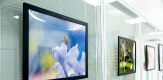 Espaço Qualidade de Vida do GDF recebe exposição ‘Insetos em Macrofotografia’