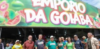Festa da Goiaba celebra colheita da principal fruta cultivada no DF