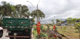 Mutirões retiram mais de 19 mil toneladas de entulho em 25 cidades do DF
