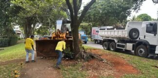 Plano Piloto passa por ações de limpeza e manutenção