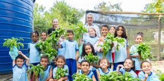 Horta escolar fertiliza mentes na Escola Classe Jardim dos Ipês
