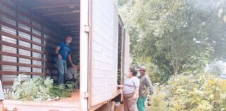 Governo do DF amplia apoio a produtores rurais de baixa renda com transporte gratuito de insumos agropecuários