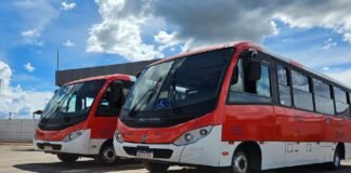 Zebrinhas chegam ao Itapoã Parque