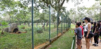 Lazer para Todos reuniu quase 40 mil visitantes no Zoológico e Jardim Botânico nos últimos três domingos
