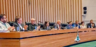 Trânsito, vias esburacadas e falta de equipamentos públicos: audiência debate problemas do Jardim Botânico