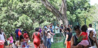 Brasilienses e turistas aproveitam a Sexta-feira Santa no Jardim Botânico e no Zoológico de Brasília