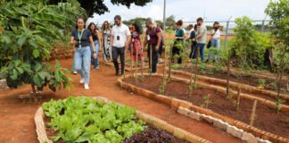 Visitas técnicas reconhecem boas práticas de segurança alimentar no DF