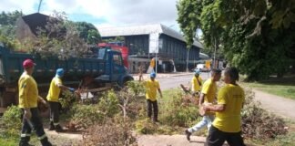 Força-tarefa intensifica limpeza e manutenção para o aniversário de 65 anos de Brasília