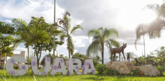 Projeto Circula Cultura no Guará prorroga inscrições até quinta (24)