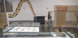 Memorial dos Povos Indígenas recebe exposição Território da Diversidade