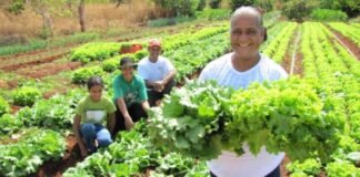 Projeto de lei institui diretrizes para o Programa Agrário do Distrito Federal