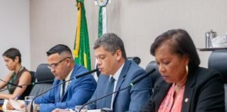 Propostas sobre arborização e hidrogênio verde são aprovadas em comissão