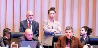Deputado Daniel Donizet pede reforço na segurança da Câmara Legislativa após episódio de agressão a servidora do seu gabinete