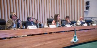 Pesquisadores denunciam falta de transparência de órgãos ambientais na divulgação de dados