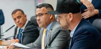 Comissão aprova projeto que cria territórios de distritos criativos no DF