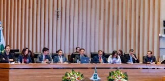 Lei da Fibromialgia pode ser considerada inconstitucional