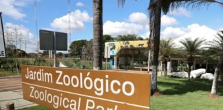 GDF determina fechamento temporário do Jardim Zoológico de Brasília como medida de segurança