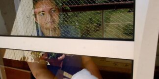 DF terá ‘Casa da Doméstica’, espaço de referência para trabalhadoras domésticas