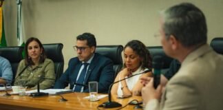 Secretaria de Saúde presta contas à Câmara Legislativa em audiência pública