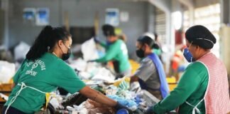 Com 58 mil toneladas de lixo processadas em 2024, DF amplia coleta seletiva em 222% desde 2020