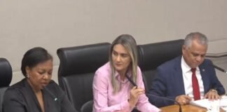 Comissão da Mulher defende conscientização para enfrentar feminicídio no DF