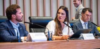 Distritais discutem riscos de instalação de termelétrica no DF