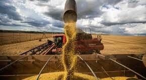 Distrito Federal se destaca na produção de grãos e cereais e registra a maior safra da história