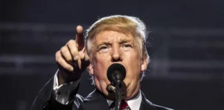 Trump a Bolsonaro: “Este julgamento precisa parar imediatamente”