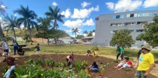 Com emendas da senadora Leila, moradores do Varjão participam do plantio do primeiro Jardim de Chuva na Serrinha