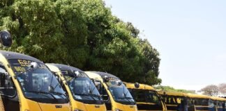 Estudantes da rede pública contam com mais de 1.160 ônibus de transporte escolar