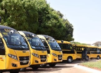 Estudantes da rede pública contam com mais de 1.160 ônibus de transporte escolar