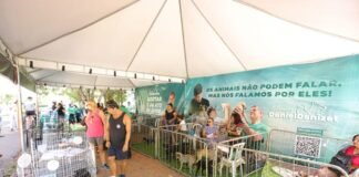Parque de Águas Claras recebe feira de adoção responsável neste domingo