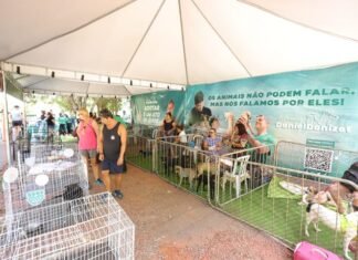 Parque de Águas Claras recebe feira de adoção responsável neste domingo