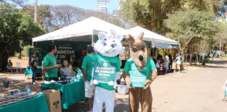 Feira “Audote um Amigo” promoveu adoções e reforçou a importância da causa animal