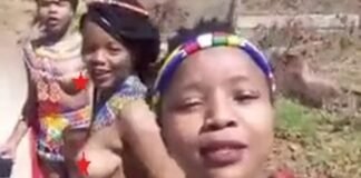 Vídeo: Mãma África