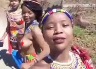 Vídeo: Mãma África