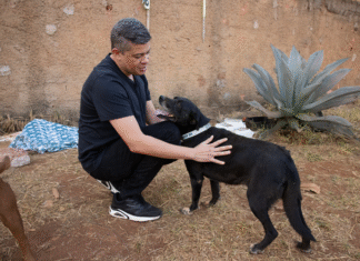Coleira da Vida cruza fronteiras e inspira projeto em Cuiabá