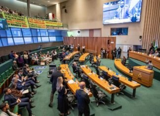 CLDF aprova projeto de lei que determina direito à iluminação aos pedestres