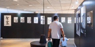 Exposição traz releitura de tradição de pintura japonesa a partir do vigor do Cerrado