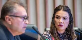Giro Distrital: CPI aponta falta de servidores em órgãos de fiscalização ambiental