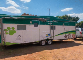 Santa Maria ganha atendimento veterinário gratuito com Unidade Móvel do HVEP