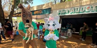 Gama recebe feira Audote um Amigo e garante novos lares para cães e gatos