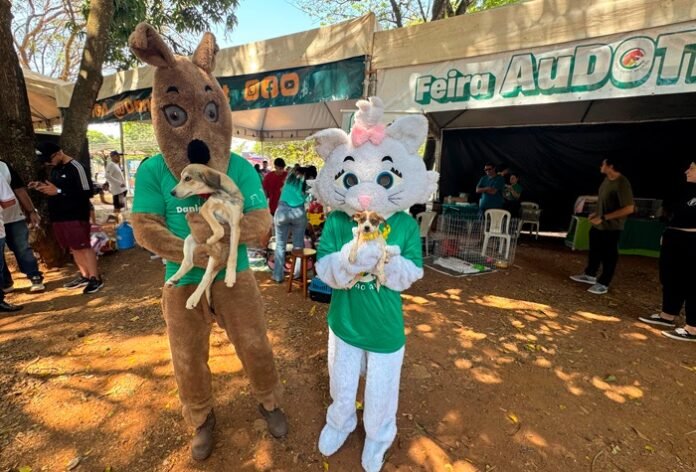 feira pet
