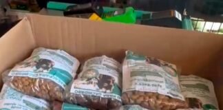 Ração do Bem chega ao Gama e fortalece a rede de apoio aos animais de rua