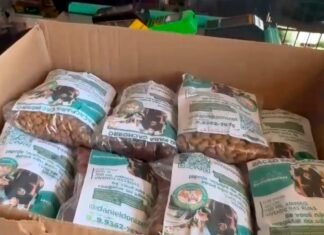 Ração do Bem chega ao Gama e fortalece a rede de apoio aos animais de rua