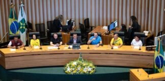 Professores e alunos de capoterapia recebem homenagem na Câmara Legislativa