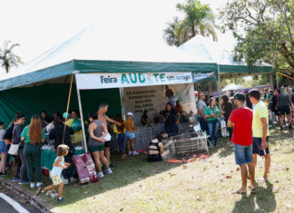 Feira “Audote um Amigo” incentiva adoção responsável neste domingo no Parque da Cidade