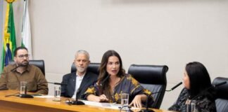 Seminário debate reintegração familiar e acolhimento de crianças e adolescentes