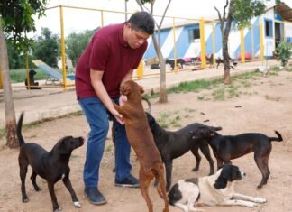 Daniel Donizet impulsiona mapeamento oficial de protetores de animais no DF